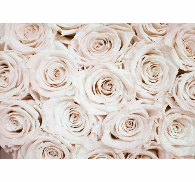 Persiana enrollable blanca diseño de flores rosas elegante - TenVinilo