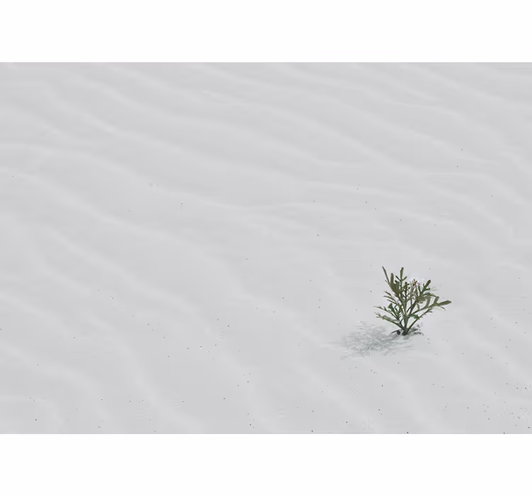 Persiana enrollable blanca arena blanca del desierto - TenVinilo