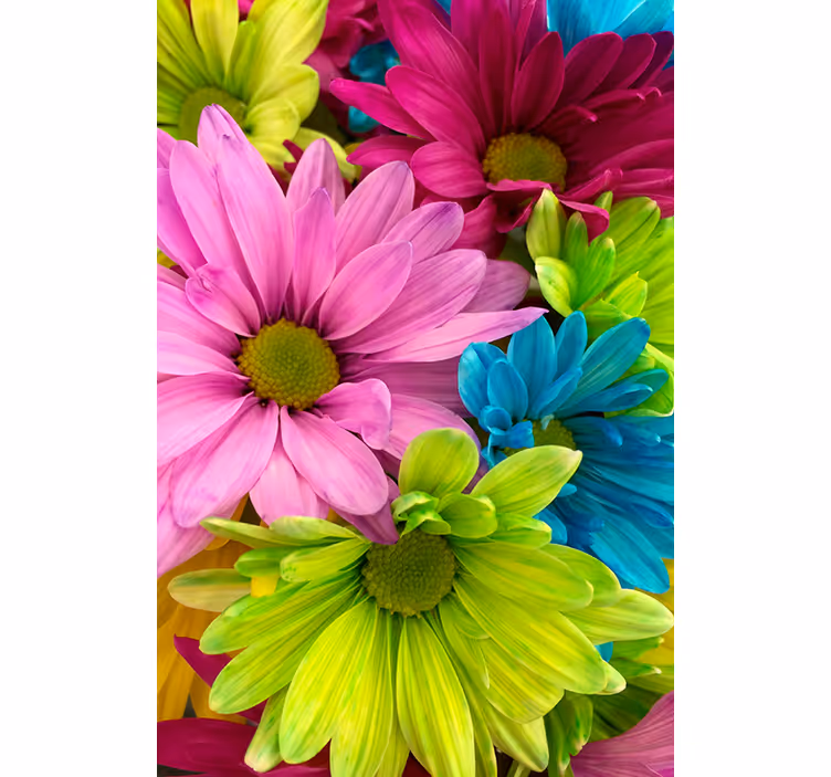 Persiana enrollable salón flores coloridas - TenVinilo