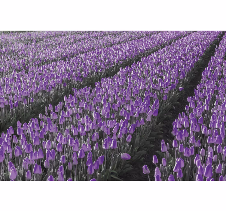 Persiana enrollable salón campo de tulipanes - TenVinilo