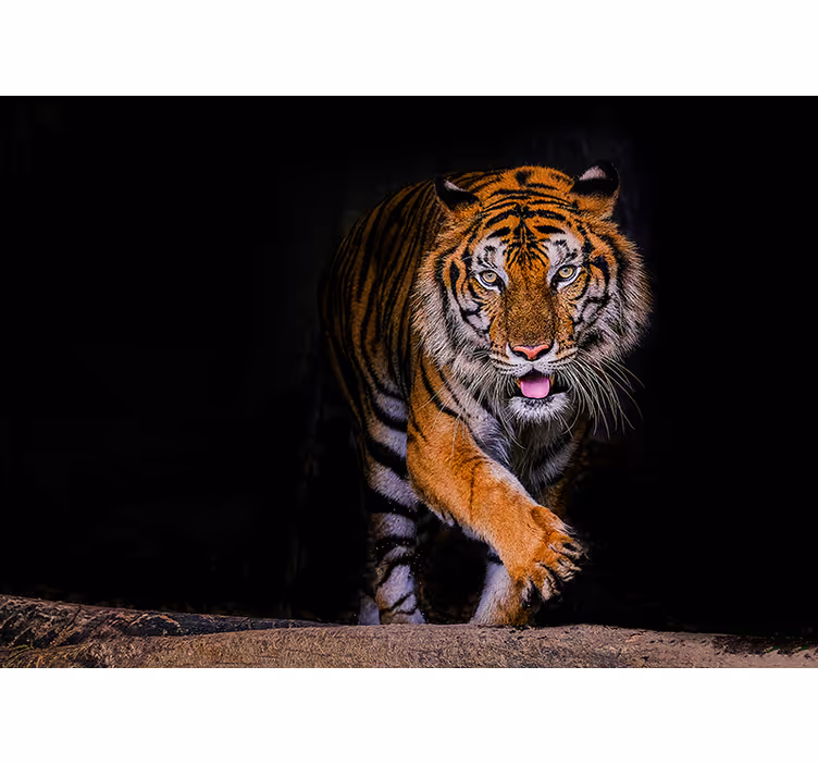 Persiana enrollable negra tigre - TenVinilo