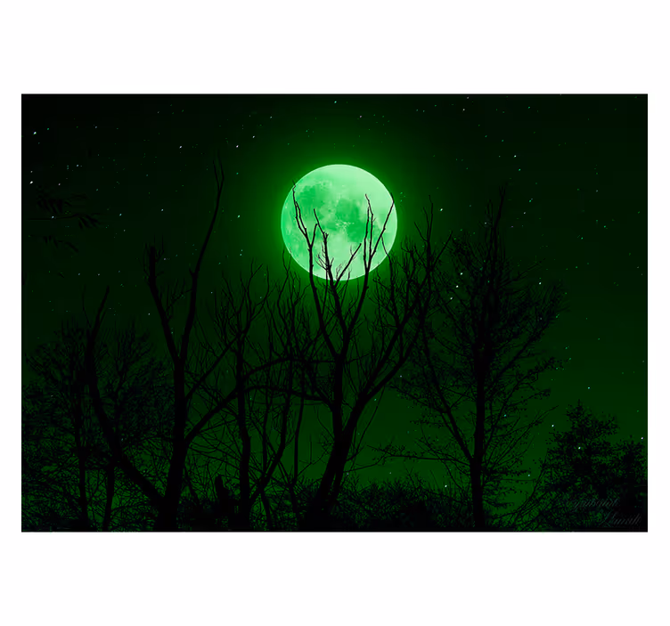 Persiana enrollable negra luna verde - TenVinilo