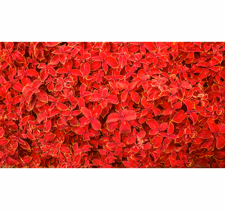 Persiana enrollable roja con patrón de pétalos - TenVinilo
