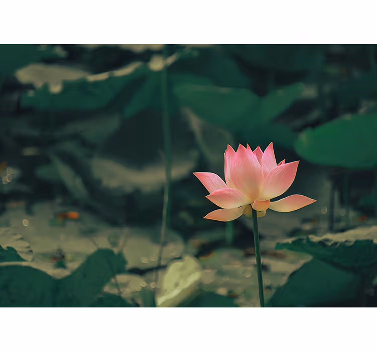 Persiana enrollable verde flor rosa - TenVinilo