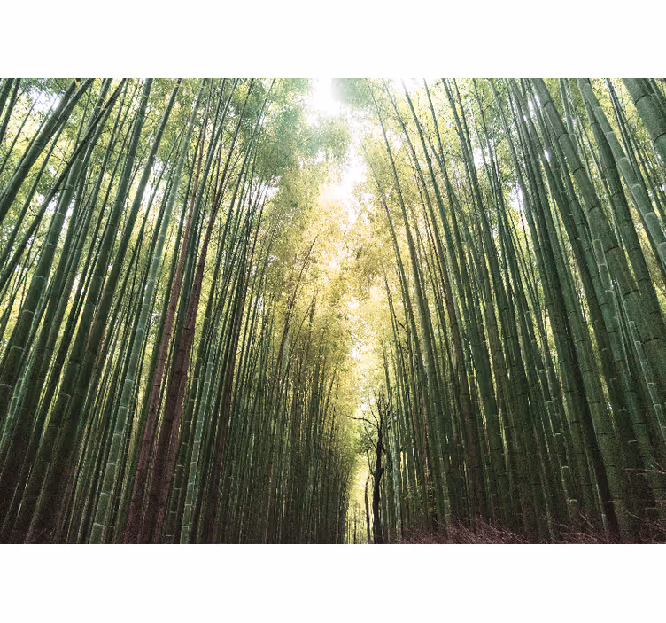 Persiana enrollable salón bosque de bambú zen - TenVinilo