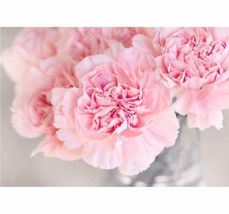Persiana enrollable salón muchos claveles rosas fondo gris - TenVinilo