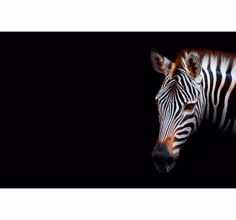 Persiana enrollable salón zebra imagen - TenVinilo
