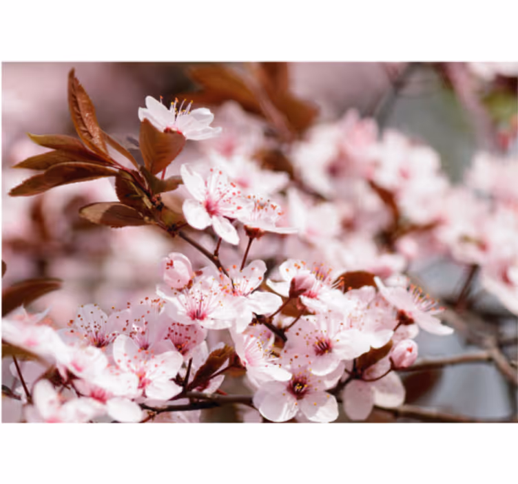 Persiana enrollable salón flores de cerezo - TenVinilo