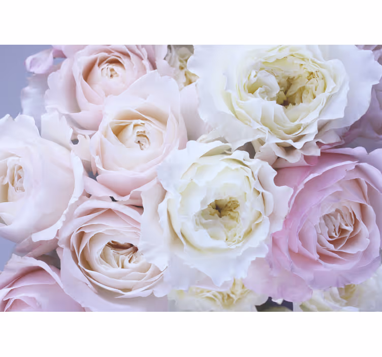 Persiana enrollable salón rosas diferentes en close up - TenVinilo
