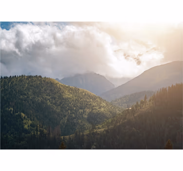 Persiana enrollable salón parque nacional de los tatras - TenVinilo