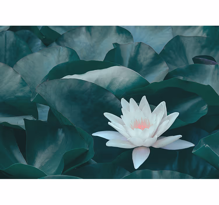 Persiana enrollable salón flor de loto blanca zen - TenVinilo