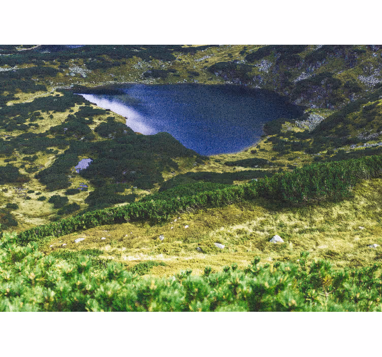Persiana enrollable salón tatras verdes - TenVinilo