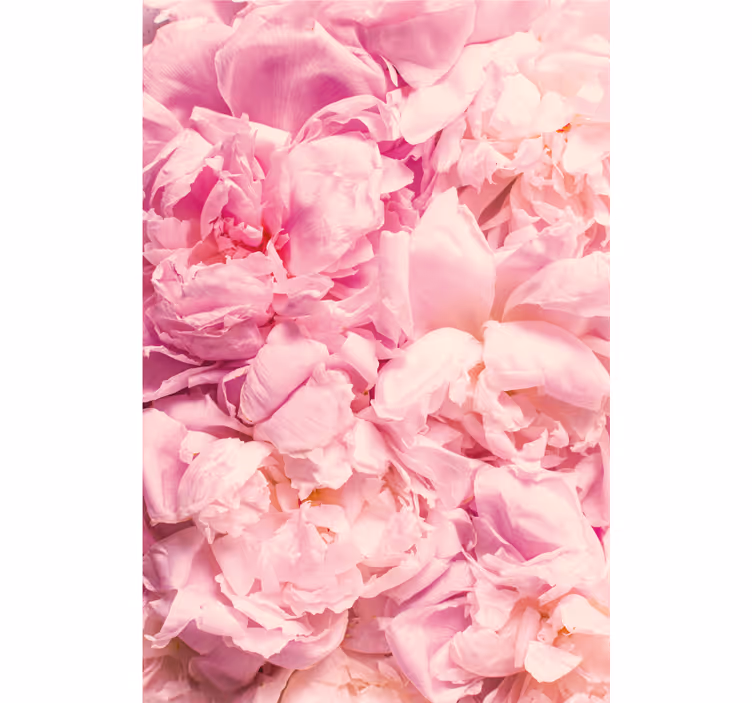 Persiana enrollable para cuarto flores peonía rosa realistas - TenVinilo