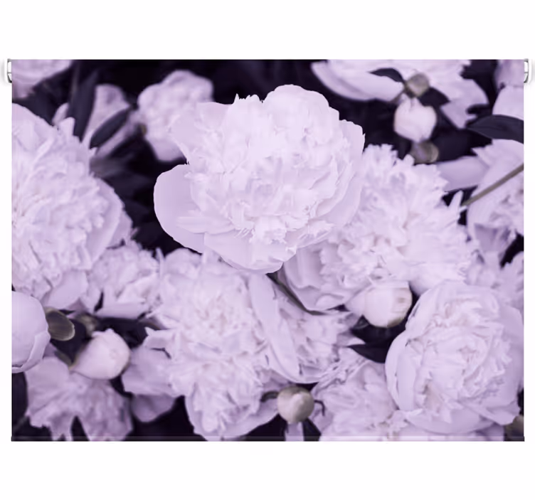 Persiana enrollable salón peonías rosas elegantes - TenVinilo