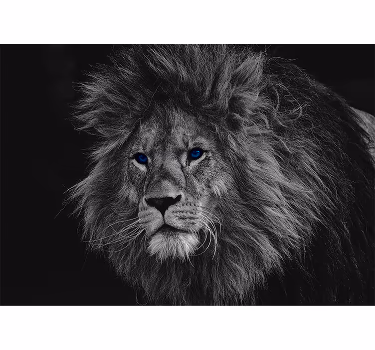 Persiana enrollable gris león de ojos azules - TenVinilo