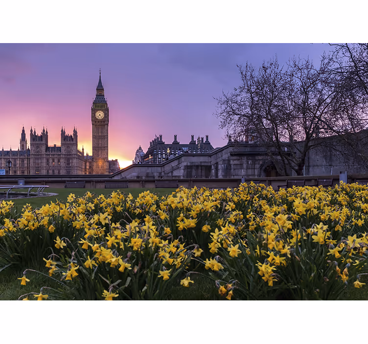 Persiana enrollable para cuarto big ben con luz solar - TenVinilo