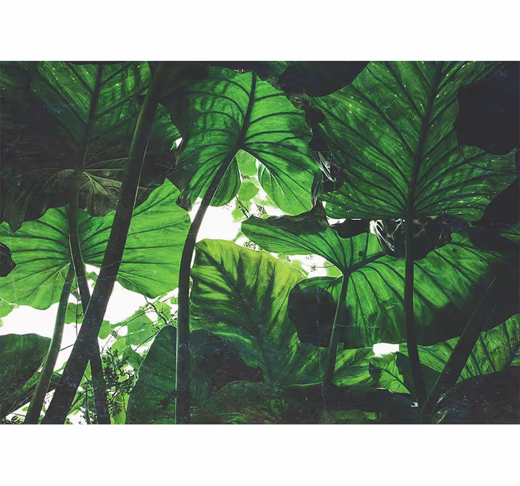 Persiana enrollable para cuarto diseño selva verde - TenVinilo