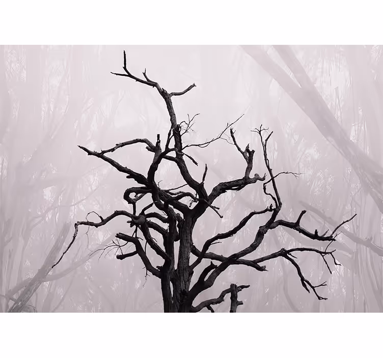 Persiana enrollable para cuarto ramas de bosque en niebla - TenVinilo
