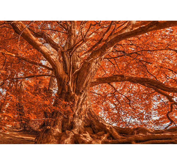 Persiana enrollable para cuarto árbol otoñal hermoso - TenVinilo