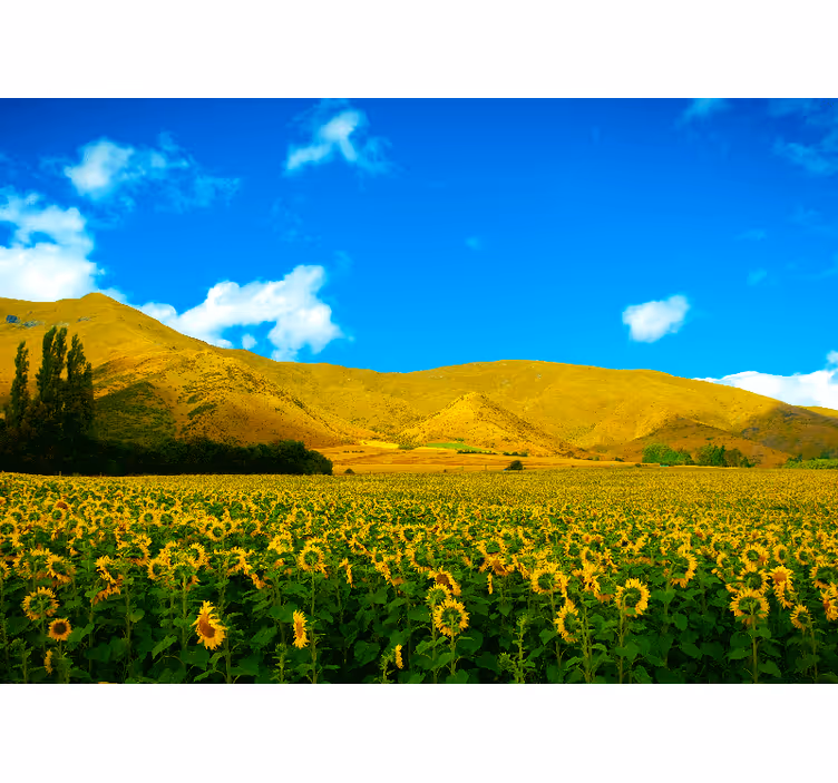 Persiana enrollable para cuarto paisaje primaveral agrícola - TenVinilo