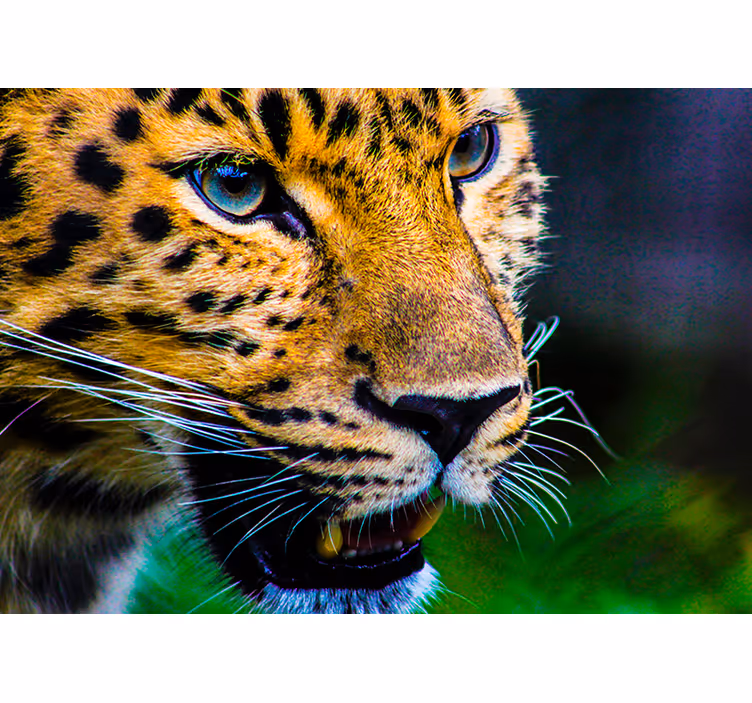 Persiana enrollable para cuarto cara de leopardo - TenVinilo