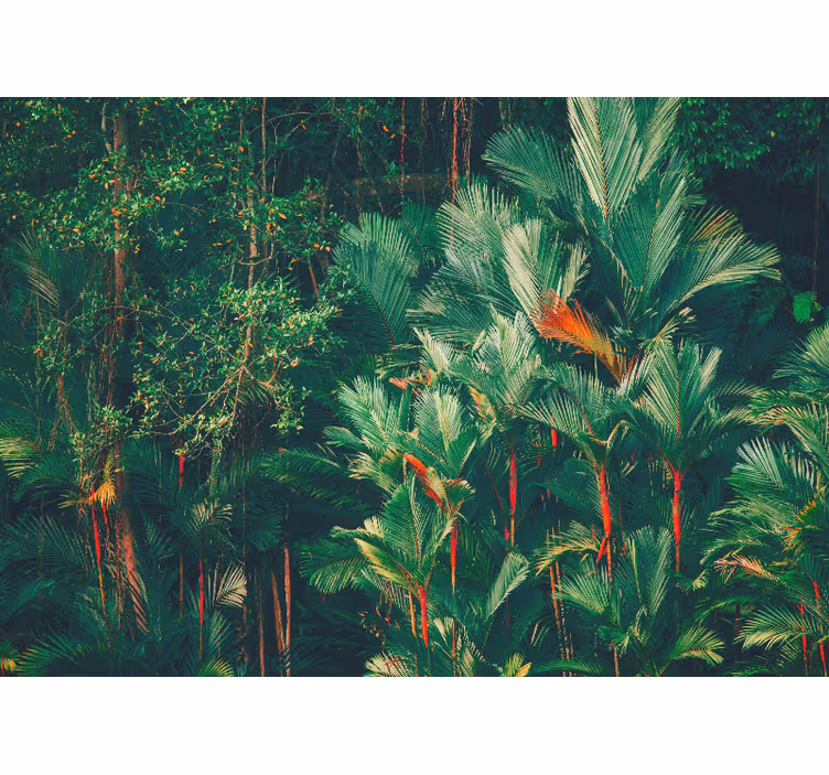 Persiana enrollable para cuarto selva matutina - TenVinilo
