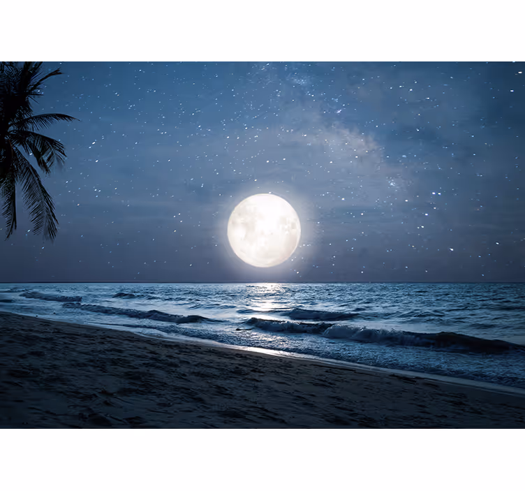 Persiana enrollable para cuarto luz de luna sobre el mar - TenVinilo