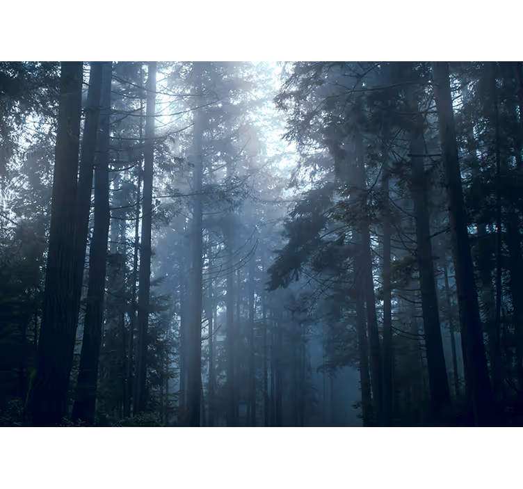 Persiana enrollable para cuarto bosque nebuloso - TenVinilo