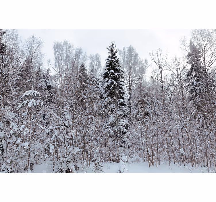 Persiana enrollable blanca bosque blanco en invierno - TenVinilo