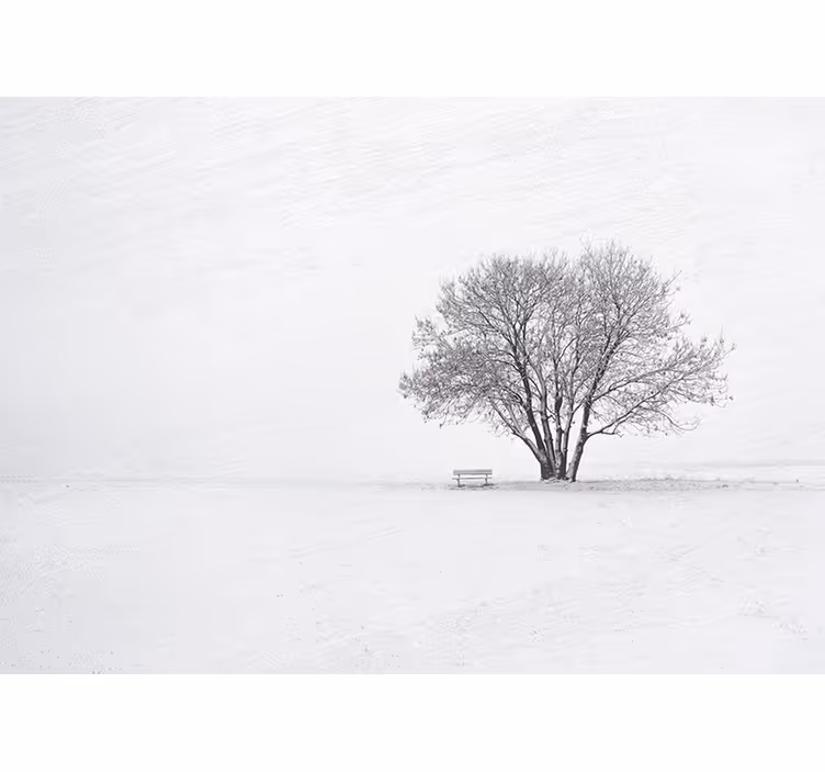 Persiana enrollable blanca diseño árbol nevado escandinavo - TenVinilo