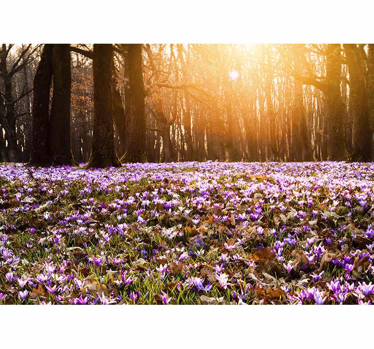 Persiana enrollable salón paisaje de crocus morado - TenVinilo