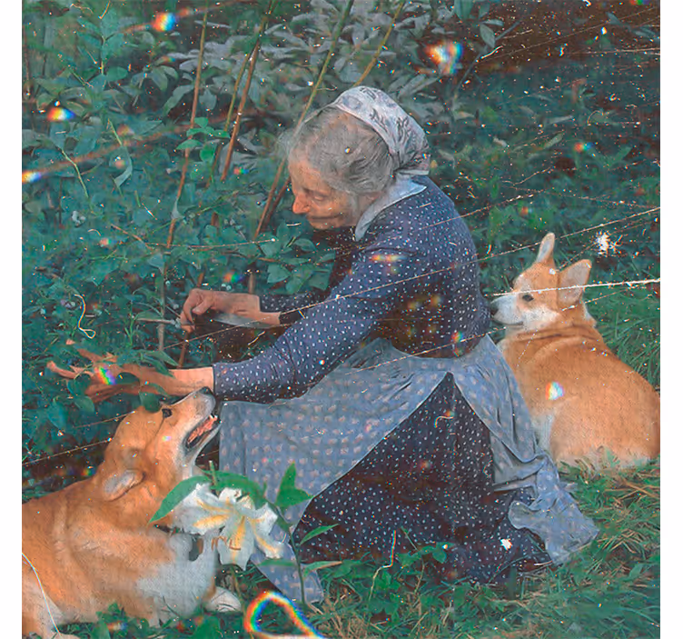Persiana enrollable salón abuela con perros jardín cottage - TenVinilo