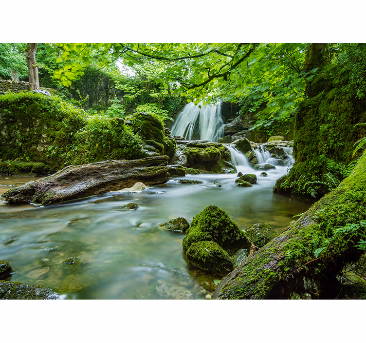 Persiana enrollable para cuarto paisaje 3d bosque con río - TenVinilo