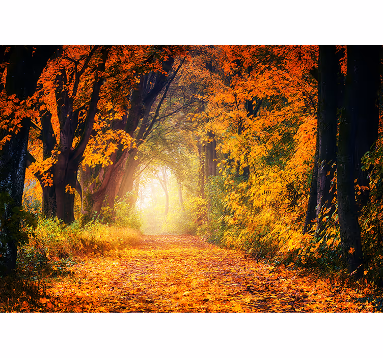 Persiana enrollable para cuarto bosque colorido de otoño - TenVinilo
