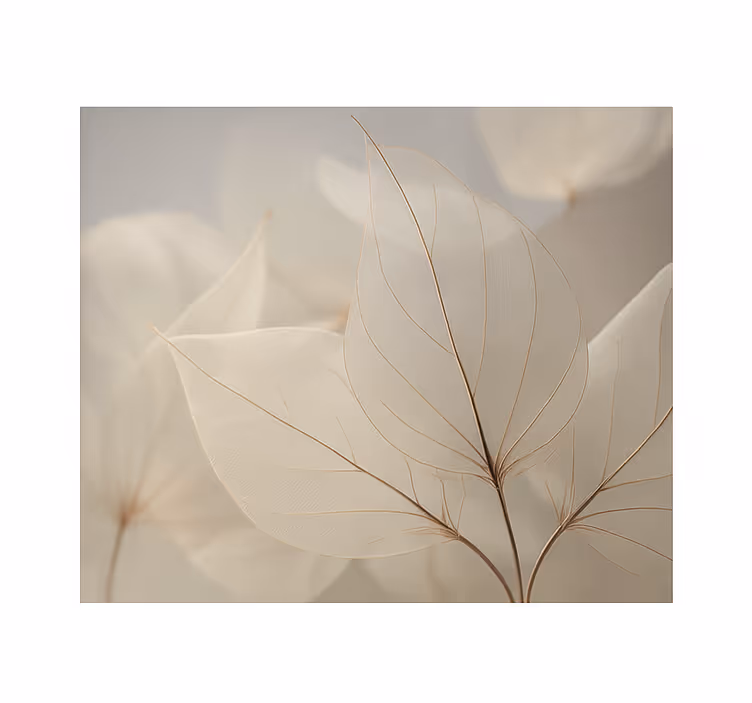 Persiana enrollable salón hojas esqueléticas blancas - TenVinilo