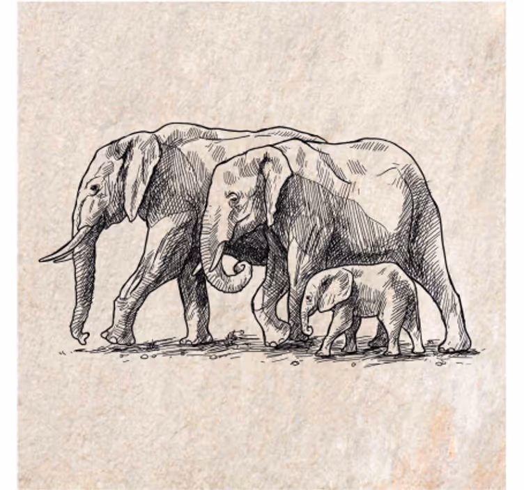 Persiana enrollable animales boceto de elefantes - TenVinilo