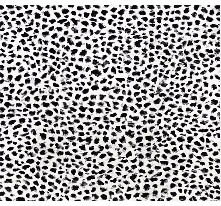 Persiana enrollable negra estampado de leopardo monocromo - TenVinilo