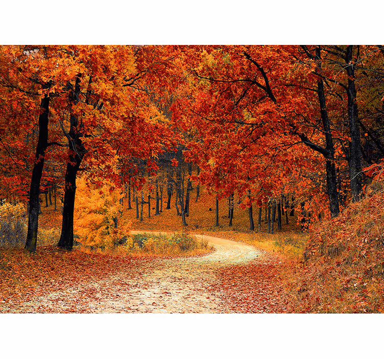 Persiana enrollable naranja papel pintado árboles de otoño - TenVinilo
