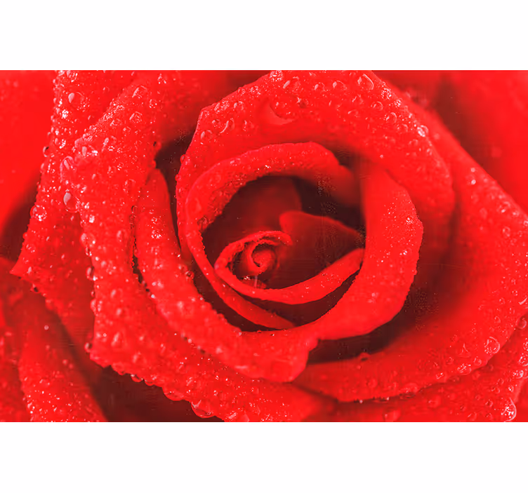 Persiana enrollable roja flor de rosa - TenVinilo
