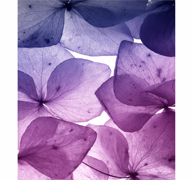 Persiana enrollable morada floral alegre y serena - TenVinilo