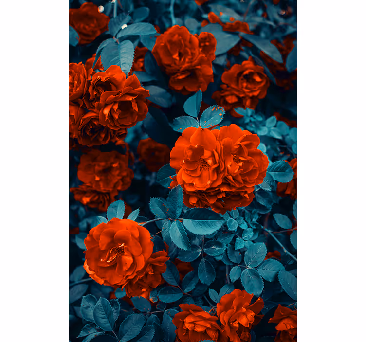 Persiana enrollable flores rosas florecientes vibrantes - TenVinilo