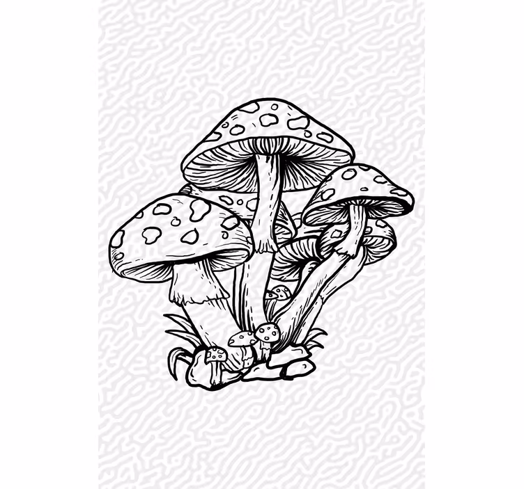 Estor cocina Seta de ilustración dibujada a mano - TenVinilo