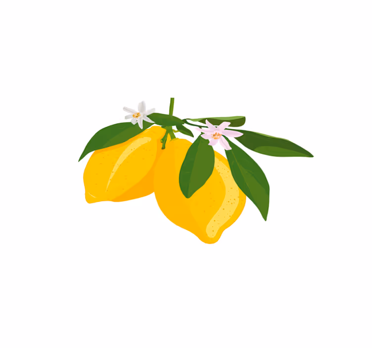 Mantel individual rectangular limón floral - TenVinilo