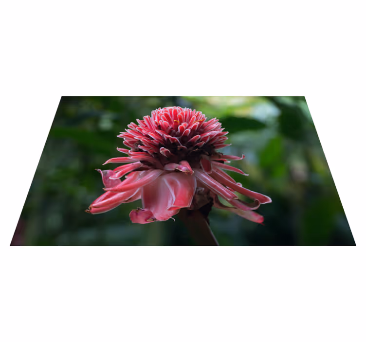 Mantel individual original arreglo floral tropical - TenVinilo