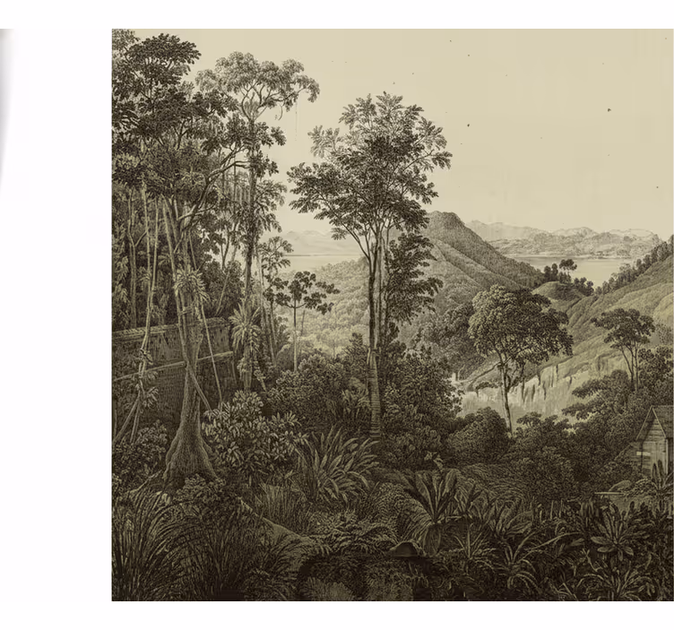 Mural de bosque estampado de bosque ondulado - TenVinilo
