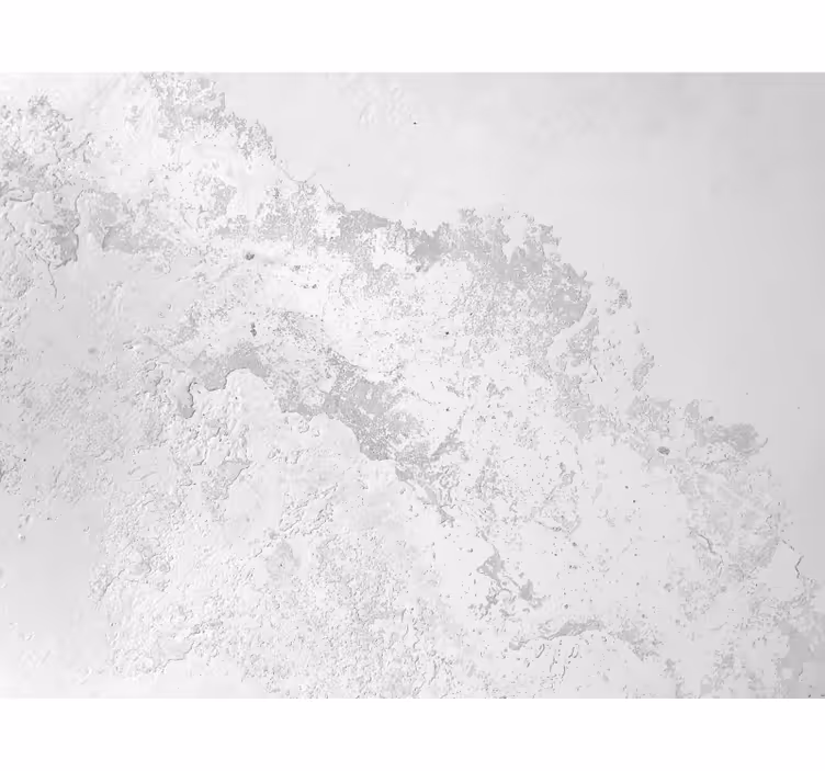 Papel mural blanco textura gris pantone - TenVinilo
