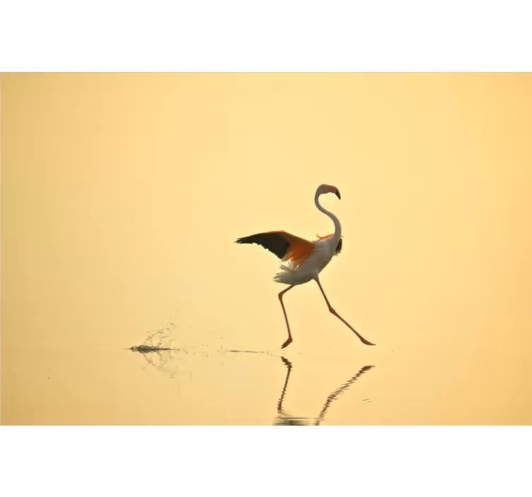 Mural amarillo flamencos divertidos corriendo - TenVinilo