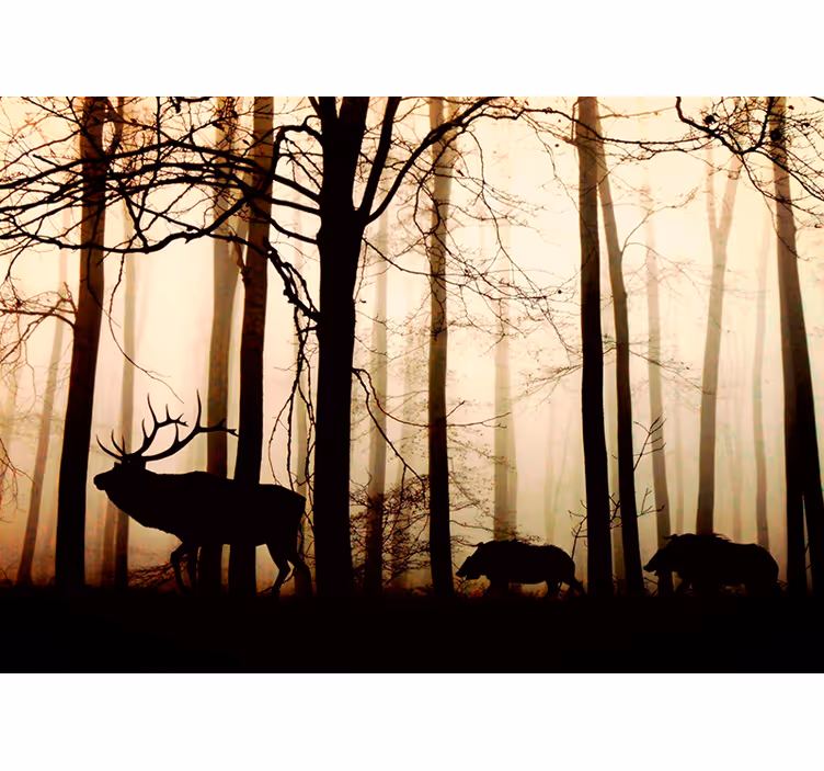 Fotomural bosque Animales salvajes en el bosque - TenVinilo
