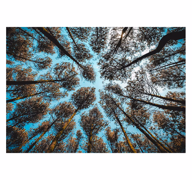 Fotomural de paisaje de árboles para salón - TenVinilo