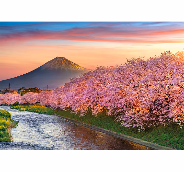 Mural de paisajes flores de cerezo del monte fuji - TenVinilo